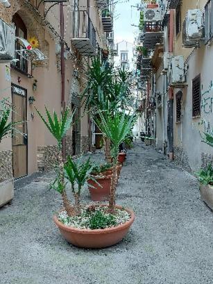 La Rosa Dei Venti " Ponente" Διαμέρισμα Παλέρμο Εξωτερικό φωτογραφία